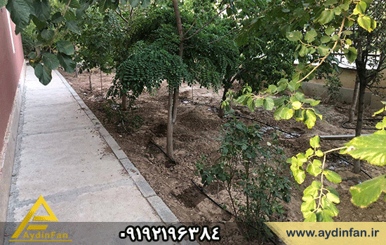 نمونه آبیاری قطره ای